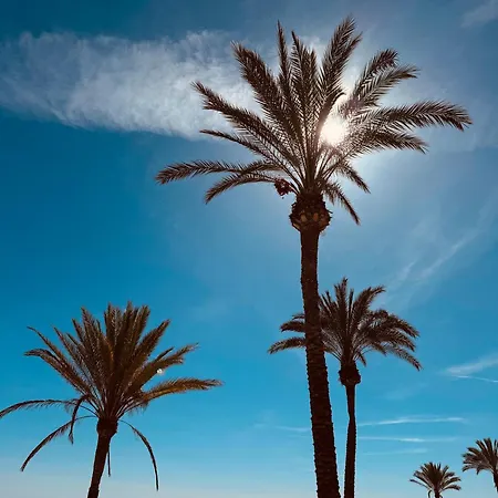 Apartman Vistas Al Mar, Piscina Y Playa Alicante