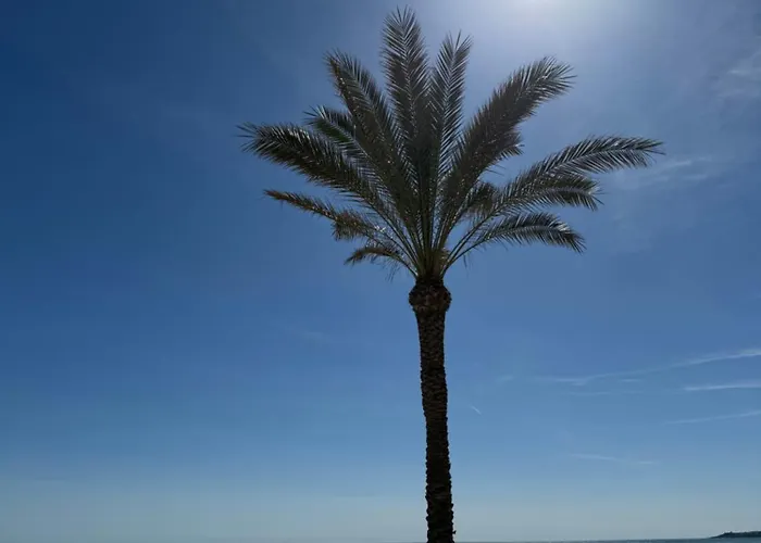 Vistas Al Mar, Piscina Y Playa