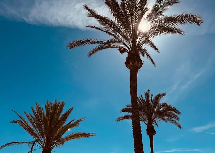 Апартаменты Vistas Al Mar, Piscina Y Playa Аликанте